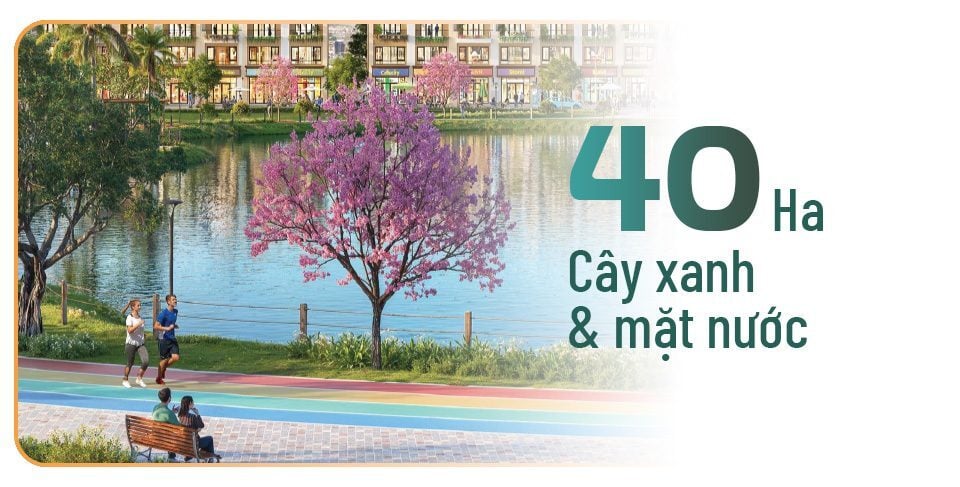 Cay-xanh-1-960x487